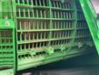 Cosechadora de Cereal - John Deere - x9 1100