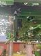 Atomizador - Amazone - ux5200
