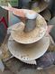 Remolqu esparcidor - BVL - mélangeuse v mix fill 17-2 bvl