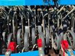 Combinado de siembra - Lemken - compact solitair h-9/300 nur 2.360ha