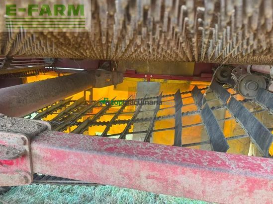 Cosechadora - arrancadora de patata - Grimme - se 150 - 60 ub
