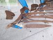 Arado -  - dvl 7108h # 7-schar