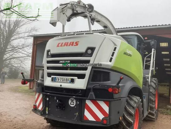 Cosechadora de Cereal - Claas - jaguar 840 4wd t4f tradition