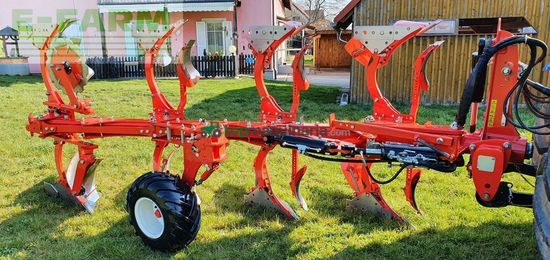 Arado - Maschio - unico m vario 4+