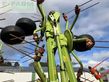 Henificador - Claas - volto 1100