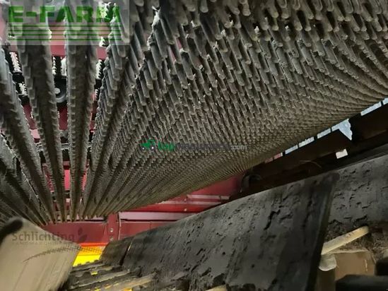 Cosechadora - arrancadora de patata - Grimme - se260 terra