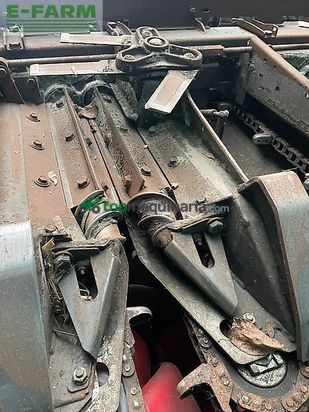 Cabezal - Capello - quasar