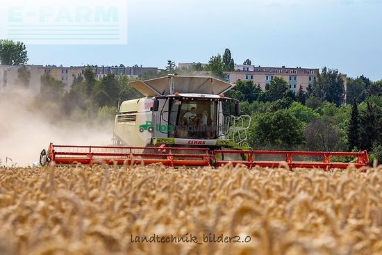 Cosechadora de Cereal - Claas - lexion 780 tt *allrad* + v1230