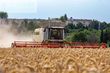 Cosechadora de Cereal - Claas - lexion 780 tt *allrad* + v1230