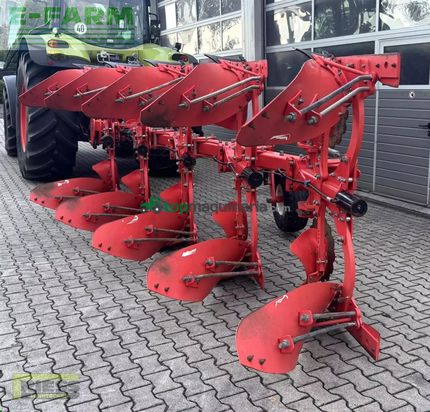 Arado - Maschio - unico l5 +vario nsh