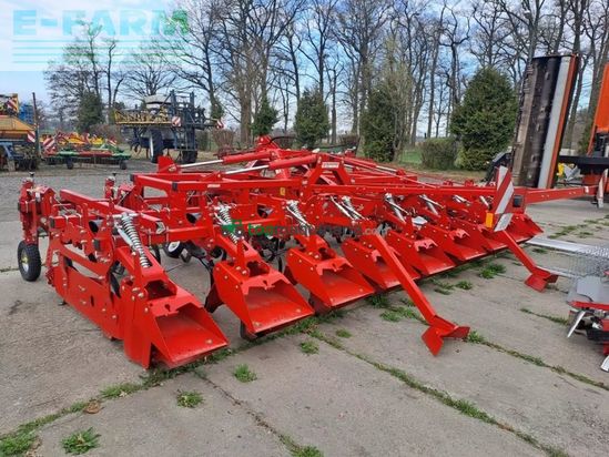 Cosechadora - arrancadora de patata - Grimme - dammformer gh 8 öko