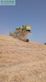 Cosechadora de Cereal - Claas - CLAAS 78 SLH AL