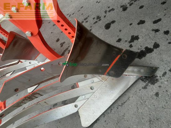 Arado - Maschio - unico m passo 4