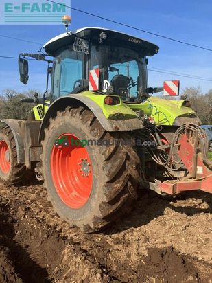 Tractor agrícola - Claas - arion 650 cmatic - stage v