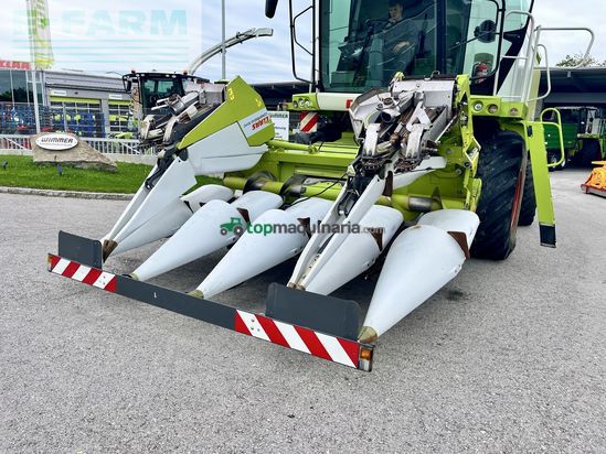 Cabezal - Claas - conspeed 6-70 fc - gebrauchter maispflücker
