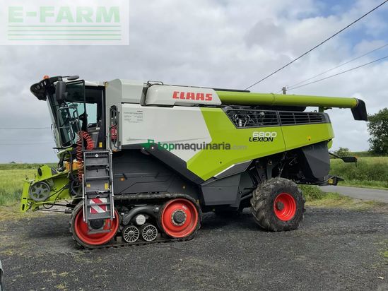 Cosechadora de Cereal - Claas - lexion 6800 tt tradition