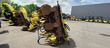 Cabezal - John Deere - 390 Plus