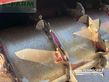 Remolqu esparcidor - Strautmann - verti mix 1701 double sf