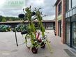 Henificador - Claas - volto 1100