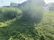 Tractor agrícola - Herkules - hxt 110 - 26 allrad hochgrasmäher neu