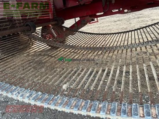 Cosechadora - arrancadora de patata - Grimme - evo 280 clodsep 17