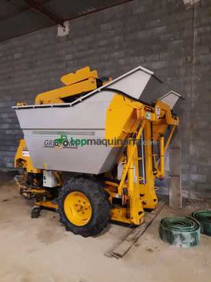 Vendimiadora - Grégoire - G50