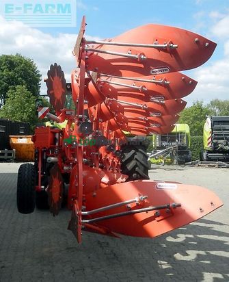 Arado - Maschio - unico l5 +vario nsh
