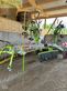 Rastrillo - Claas - liner 1250