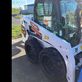 Minicargadora - Bobcat - s450