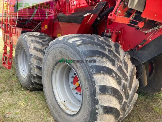Cosechadora - arrancadora de patata - Grimme - evo 290