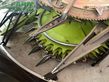 Cabezal - Claas - orbis 600