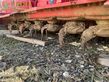 Combinado de siembra - Kuhn - venta lc 3000