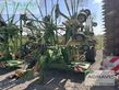 Henificador - Krone - swadro 1400 plus