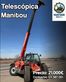 Telescopica - Manitou
