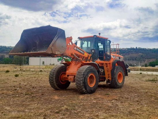 Palas cargadora DOOSAN DL300 L/AUX