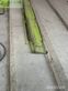 Cosechadora de Cereal - Claas - lexion 660