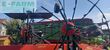 Rastrillo - Vicon - andex 705 evo