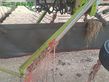 Henificador - Claas - LINER 2900H