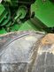 Cosechadora de Cereal - John Deere - t560i im kundenauftrag