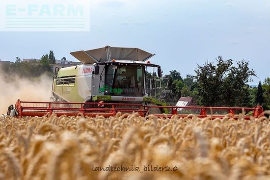 Cosechadora de Cereal - Claas - lexion 780 tt *allrad* + v1230