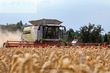 Cosechadora de Cereal - Claas - lexion 780 tt *allrad* + v1230