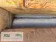 Cosechadora de Cereal - Krone - korncräcker big x 650