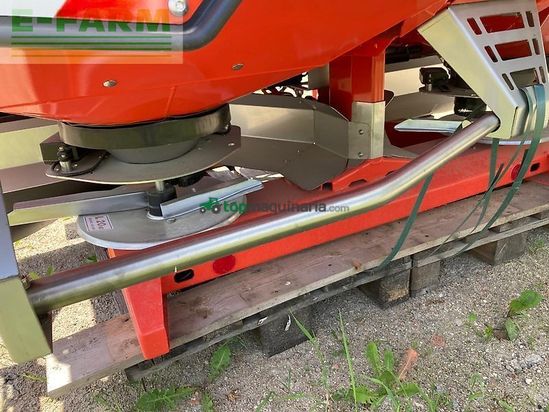 Esparcidor - Maschio - primo ewh