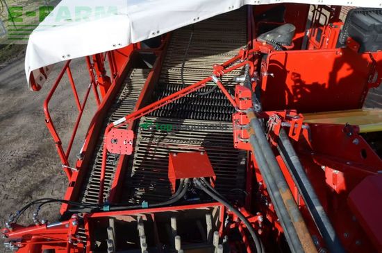 Cosechadora - arrancadora de patata - Grimme - evo 260 clodsep