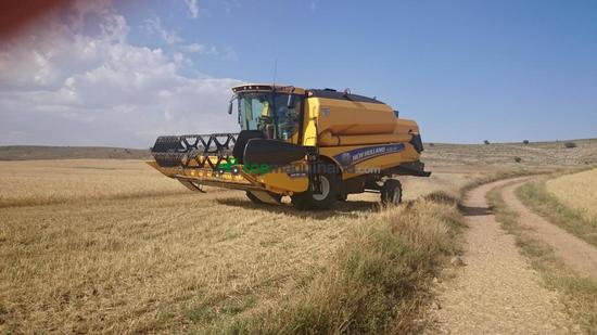 Cosechadora de Cereal - New Holland - TC 5 70
