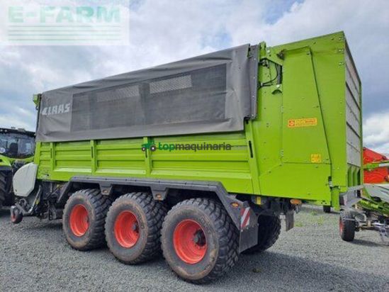 Cinta transportadora de forraje - Claas - cargos 8500 tridem