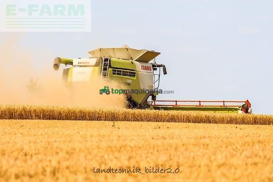 Cosechadora de Cereal - Claas - lexion 780 tt *allrad* + v1230