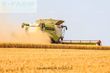 Cosechadora de Cereal - Claas - lexion 780 tt *allrad* + v1230