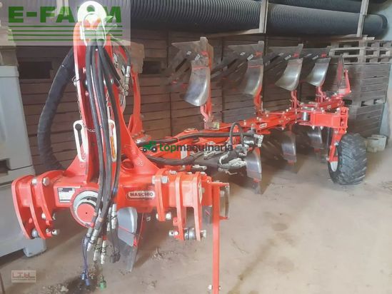 Arado - Maschio - unico m passo 4