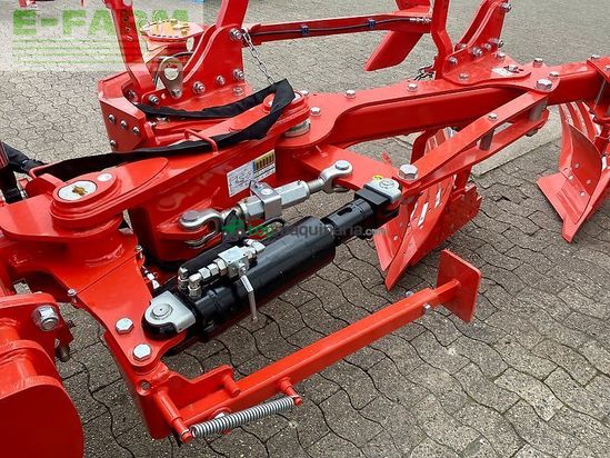 Arado - Maschio - unico m passo 4+